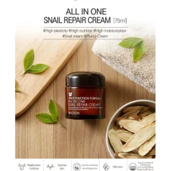 Mizon All In One Snail Repair Cream