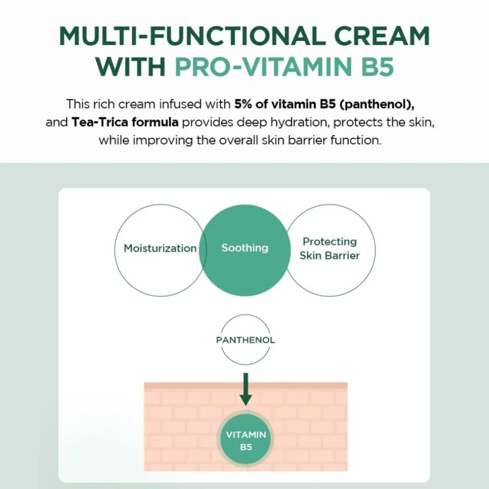 SKIN1004 Madagascar Centella Tea-Trica B5 Cream